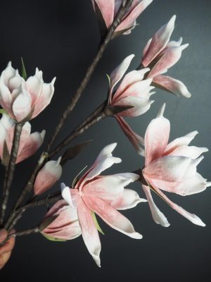 Konstväxt Magnolia