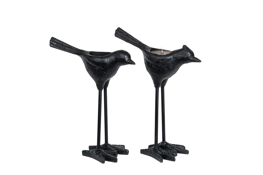 Ljusstake Fågel Svart