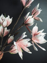 Ladda upp bild till gallerivisning, Konstväxt Magnolia
